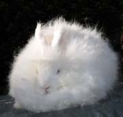 Пряжа ангора