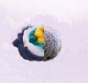 Полушерстяная пряжа