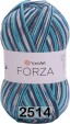 Пряжа YarnArt Forza