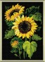 Алмазная мозаика Риолис АМ0006 Подсолнухи, 27*38 см