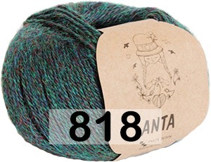 Пряжа Сеам Anta