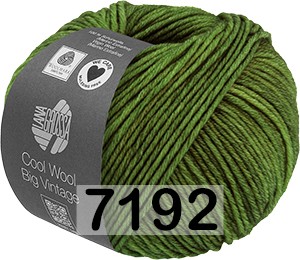 Пряжа Lana Grossa Cool Wool Big Vintage