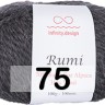 Пряжа Infinity Rumi