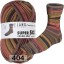 Пряжа Lang Yarns Super Soxx Color 4-Fach