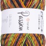 Пряжа YarnArt Passion