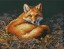 Набор для вышивания Dimensions 35318-70-Dms Sunlit Fox, 