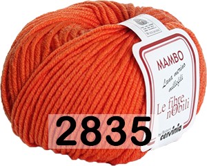 Пряжа Сеам Mambo