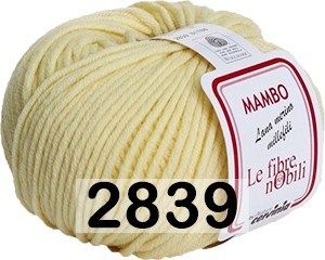 Пряжа Сеам Mambo