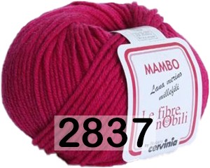 Пряжа Сеам Mambo