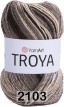 Пряжа YarnArt Troya