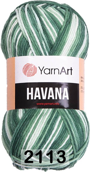 Пряжа YarnArt Havana
