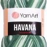 Пряжа YarnArt Havana