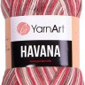 Пряжа YarnArt Havana