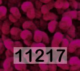 Пряжа Himalaya Dolphin Loop