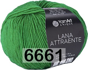 Пряжа YarnArt Lana Attraente