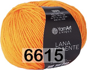 Пряжа YarnArt Lana Attraente