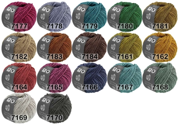 Пряжа lana grossa cool wool big vintage